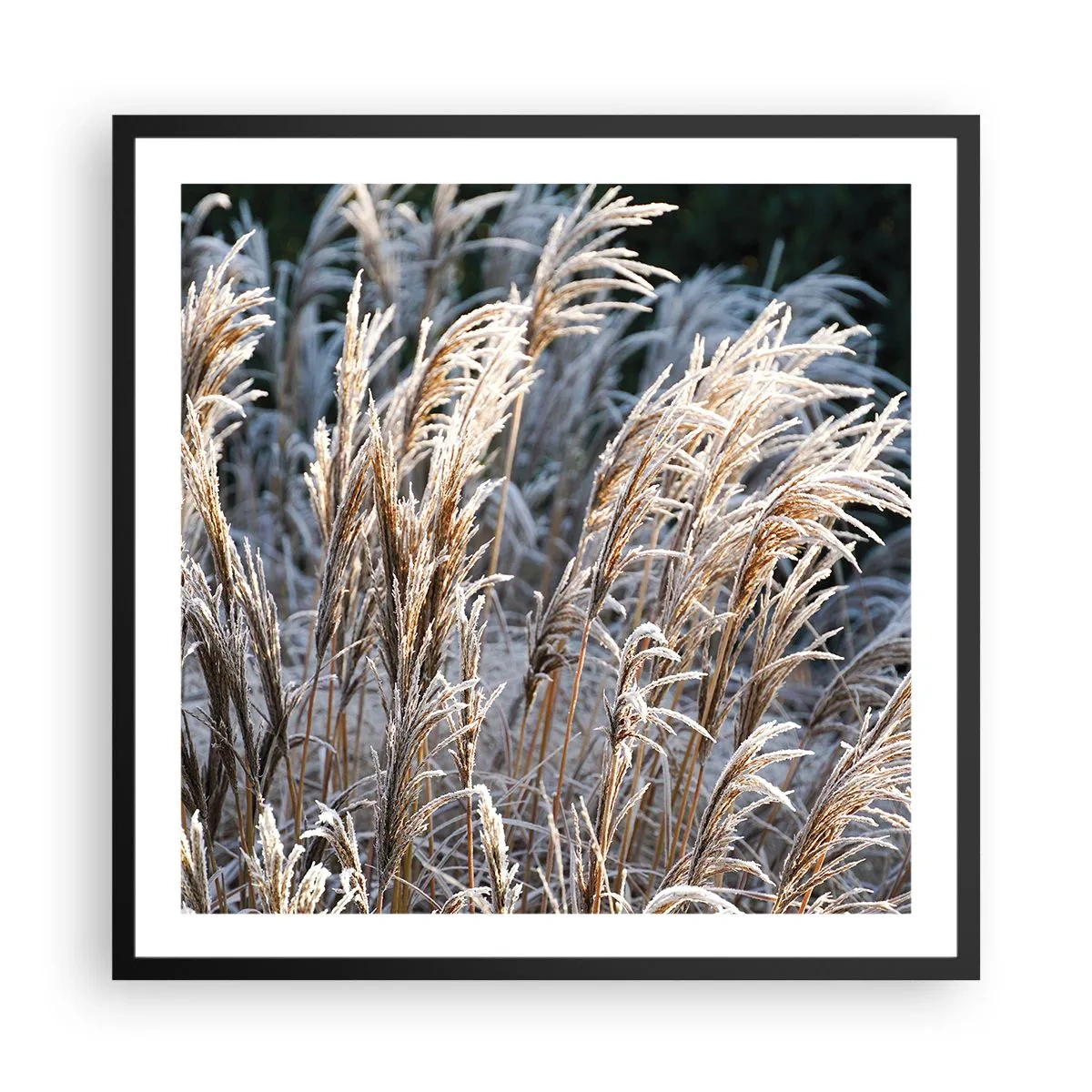 Poster in cornice nera - Vestite di brina - 60x60 cm