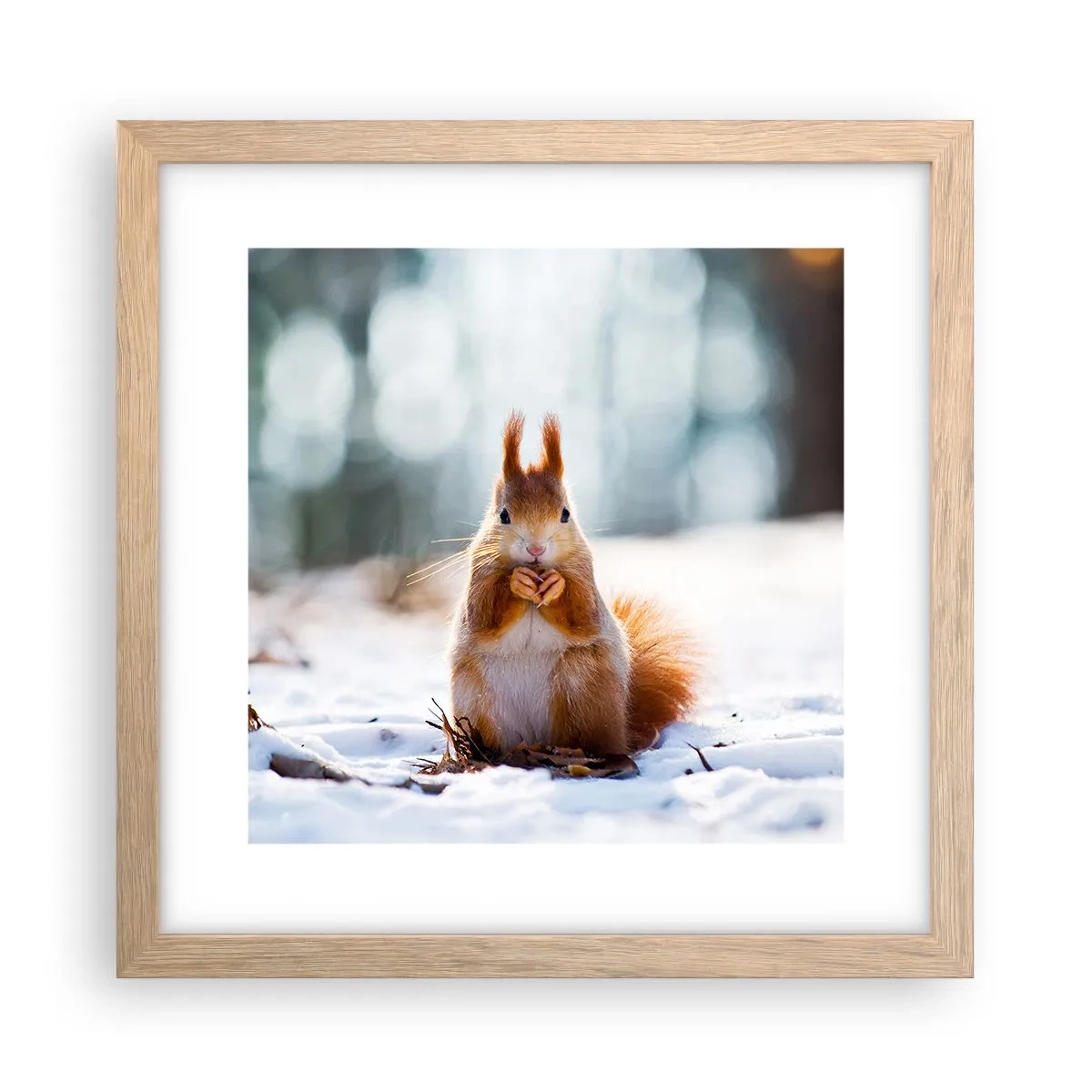 Poster in cornice rovere chiaro - Che cosa guardi? - 30x30 cm