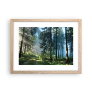 Poster in cornice rovere chiaro - Raggiante all'alba - 40x30 cm