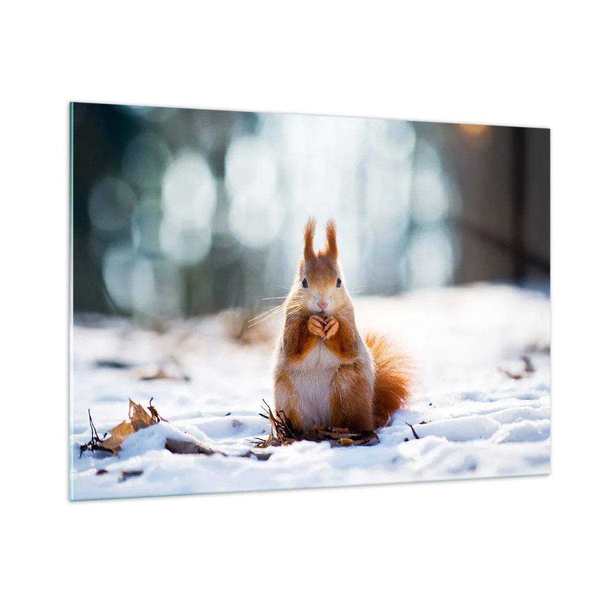 Quadro su vetro - Scoiattolo nella neve con una noce nella foresta invernale - 100x70cm - Che cosa guardi? - Decorazione murale moderna per soggiorno e camera da letto ARTTOR