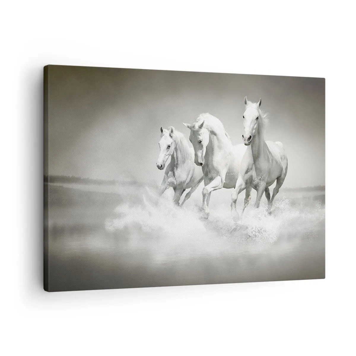 Quadro su tela - Stampe su Tela - Tre cavalli bianchi che galoppano nell'acqua - 70x50cm - Estasi bianca - Decorazione murale moderna per soggiorno e camera da letto ARTTOR