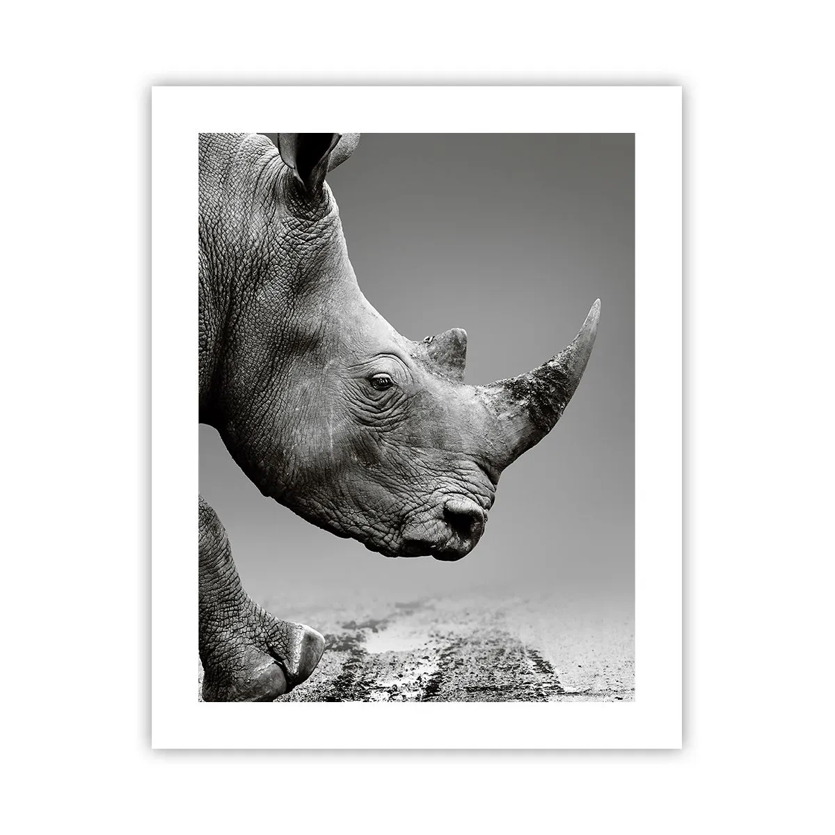 Poster - Forza irrefrenabile - 40x50 cm