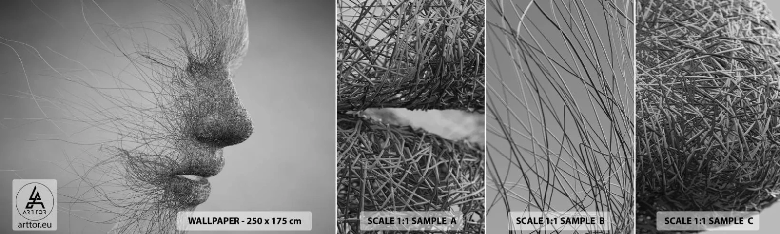 Campione di Fotomurale Adesivo Deluxe Sticker - Lo spirito del vento - Astrazione, Volto di donna, Grafica - 100x30 cm