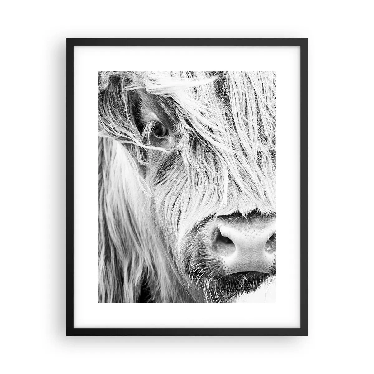 Poster in cornice nera - Selvaticità scozzese - 40x50 cm