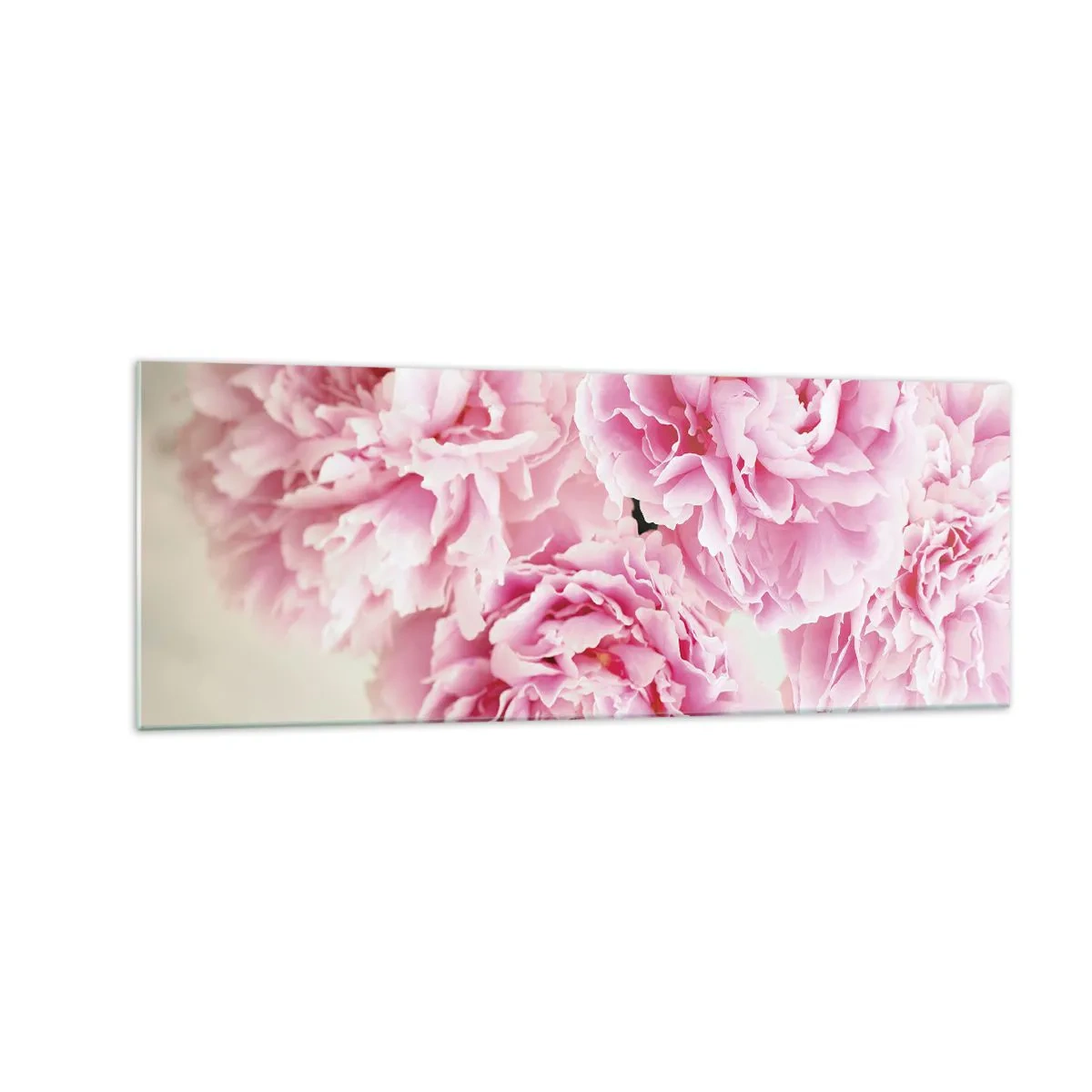 Quadro su vetro - Un bouquet di peonie rosa su uno sfondo chiaro - 140x50cm - Nel fasto rosa - Decorazione murale moderna per soggiorno e camera da letto ARTTOR
