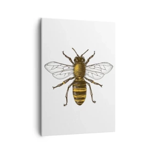 Quadro su tela - Stampe su Tela - Illustrazione dettagliata di un'ape su sfondo bianco - 50x70cm - Bella e buona - Decorazione murale moderna per soggiorno e camera da letto ARTTOR