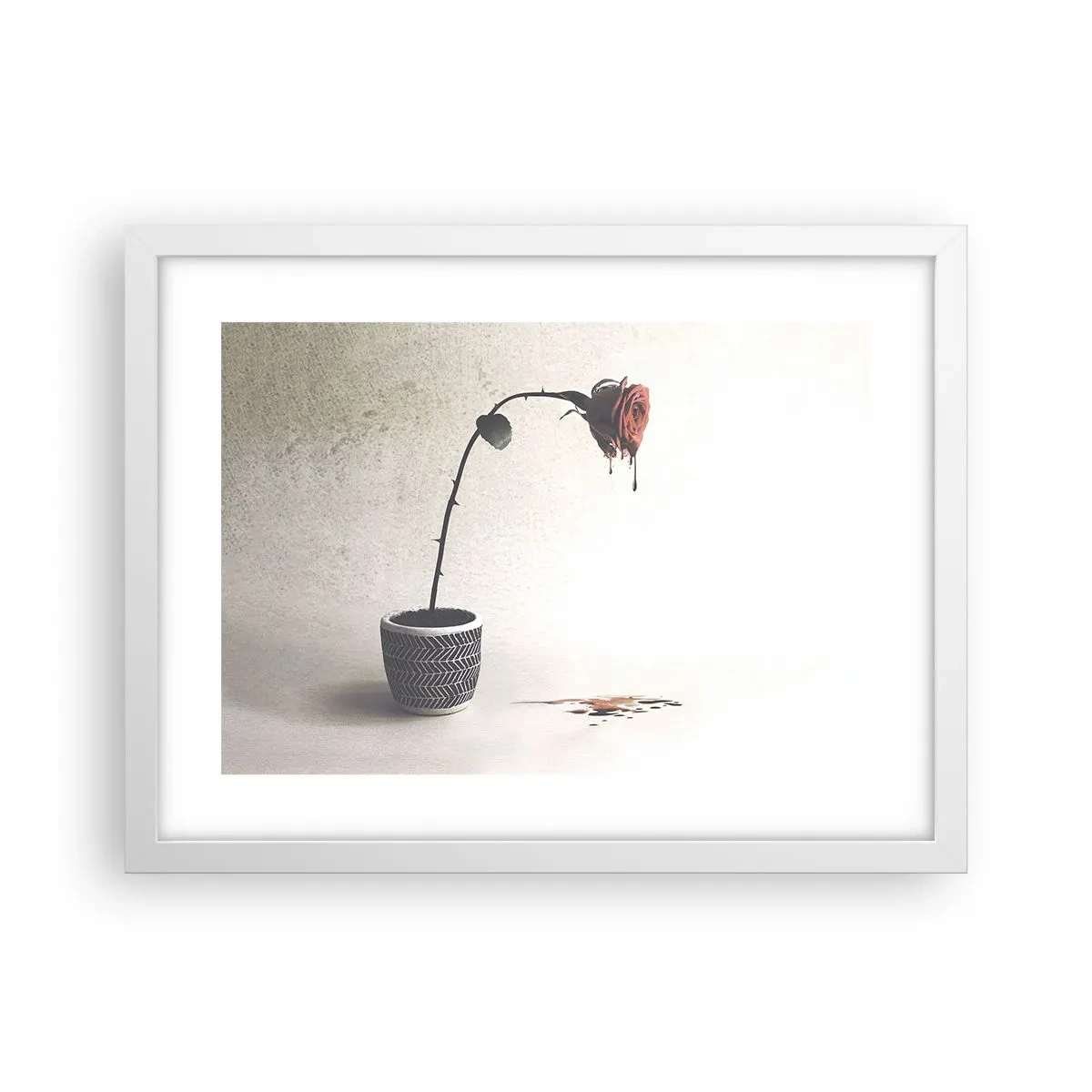 Poster in cornice bianca - Rosa dolorosa - 40x30 cm