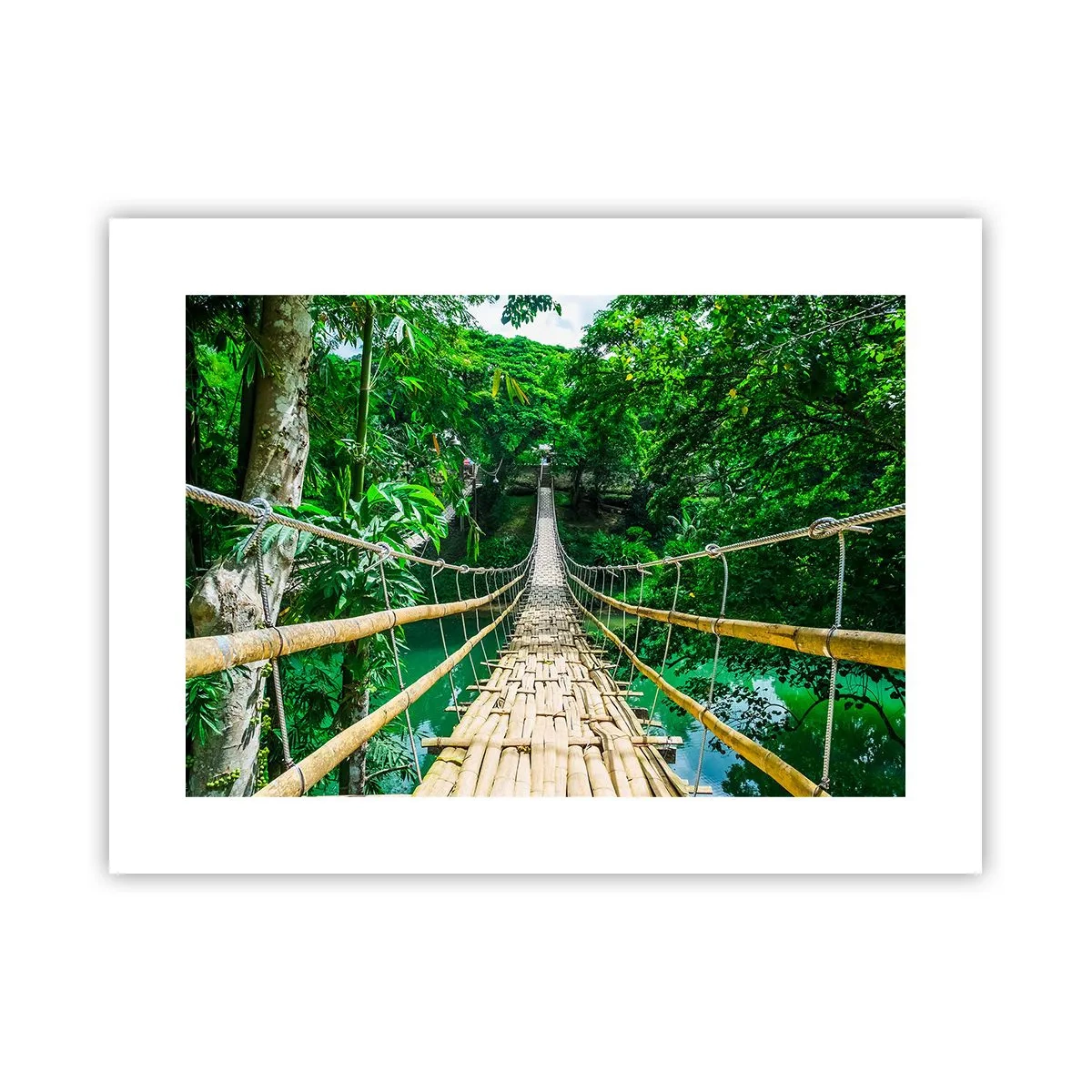 Poster - Ponte sospeso sopra il verde - 40x30 cm