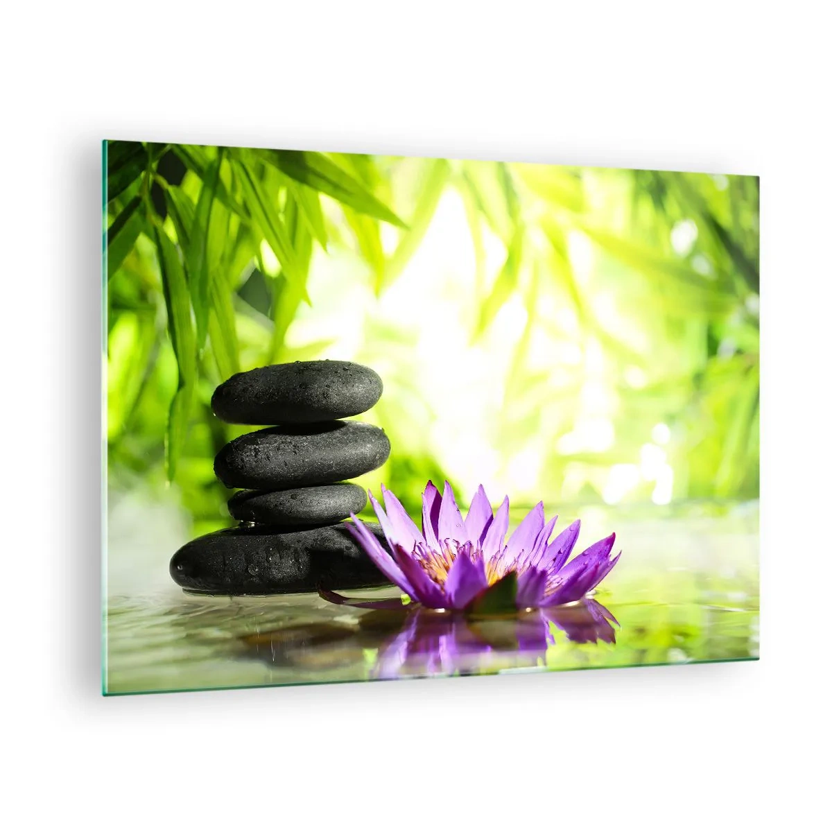 Quadro su vetro - Fiore di loto viola con pietre zen su sfondo verde - 70x50cm - In un cespuglio di bambù - Decorazione murale moderna per soggiorno e camera da letto ARTTOR