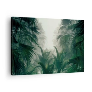 Quadro su tela - Stampe su Tela - Vegetazione tropicale nella fitta nebbia della foresta pluviale - 70x50cm - Mistero dei tropici - Decorazione murale moderna per soggiorno e camera da letto ARTTOR