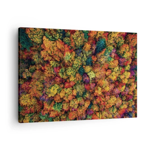 Quadro su tela - Stampe su Tela - Chiome di alberi colorati nella tavolozza autunnale - 70x50cm - Il bouquet degli alberi d'autunno - Decorazione murale moderna per soggiorno e camera da letto ARTTOR