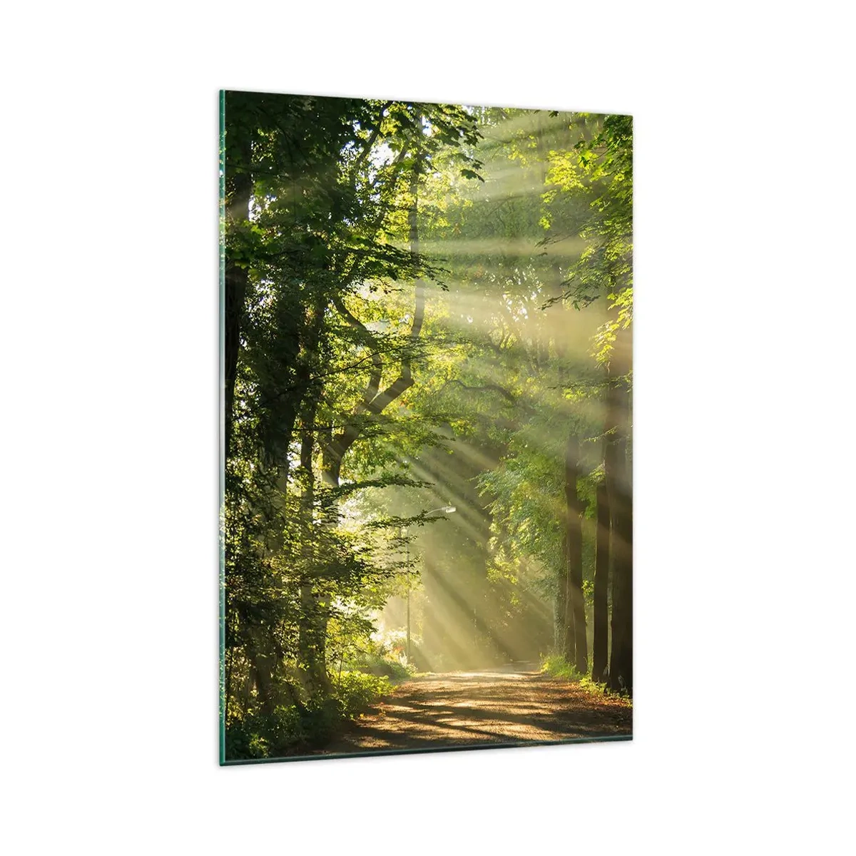 Quadro su vetro - Sentiero nel bosco con raggi di sole che brillano attraverso gli alberi - 80x120cm - Un attimo nel bosco - Decorazione murale moderna per soggiorno e camera da letto ARTTOR