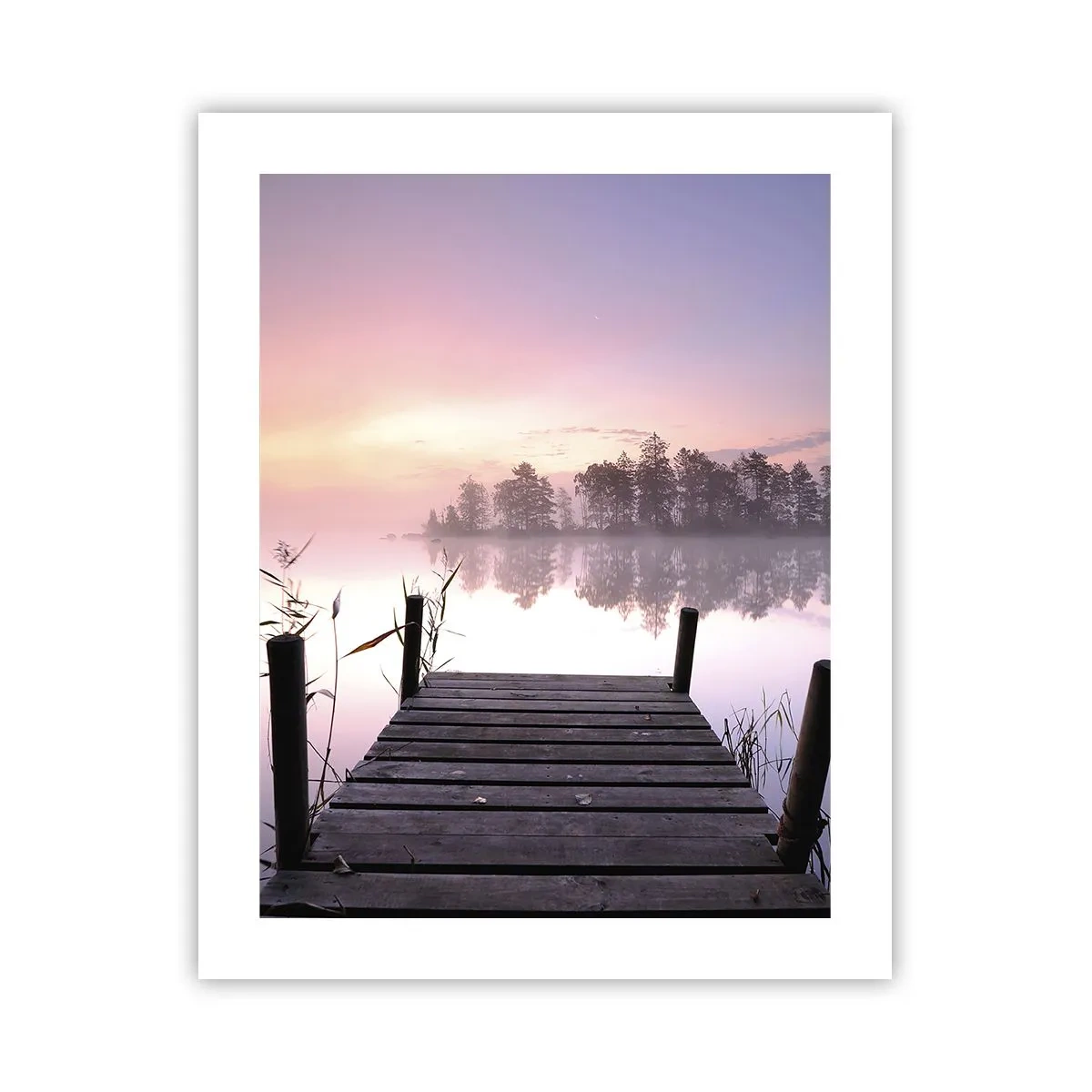 Poster - Nebbia color lilla - 40x50 cm