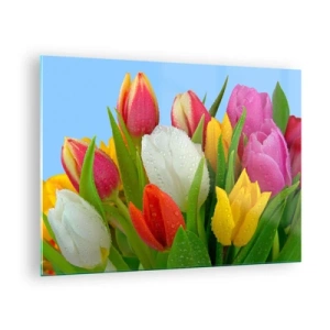 Quadro su vetro - Tulipani colorati ricoperti di gocce di rugiada su uno sfondo blu - 70x50cm - Fiori multicolori nella rugiada - Decorazione murale moderna per soggiorno e camera da letto ARTTOR