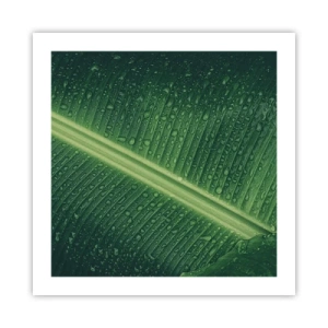 Poster - La struttura del verde - 50x50 cm