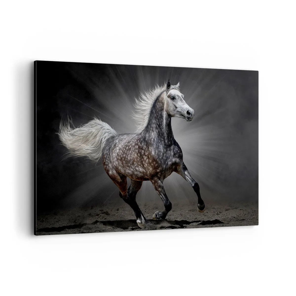 Quadro su tela - Stampe su Tela - Un cavallo bianco al galoppo su uno sfondo scuro - 120x80cm - Grigio è bello - Decorazione murale moderna per soggiorno e camera da letto ARTTOR