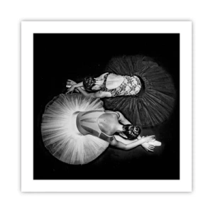 Poster - Yin e yang -  equilibrio ideale - 50x50 cm