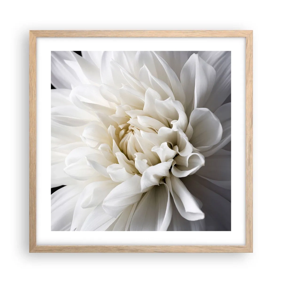 Poster in cornice rovere chiaro - Il mattino della sposa - 50x50 cm