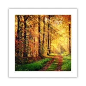 Poster - Il silenzio d'oro del bosco - 40x40 cm