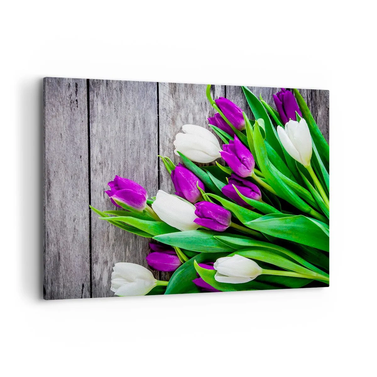 Quadro su tela - Stampe su Tela - Un bouquet di tulipani viola e bianchi su uno sfondo di legno - 100x70cm - Nella festa della primavera - Decorazione murale moderna per soggiorno e camera da letto ARTTOR