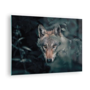Quadro su vetro - Un lupo osserva vigile dal suo nascondiglio nel folto della foresta - 70x50cm - Cacciatore - Decorazione murale moderna per soggiorno e camera da letto ARTTOR
