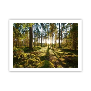 Poster - …dopo sette foreste - 70x50 cm