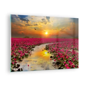 Quadro su vetro - Ninfee rosa su un lago al tramonto - 70x50cm - La vita segreta del lago - Decorazione murale moderna per soggiorno e camera da letto ARTTOR