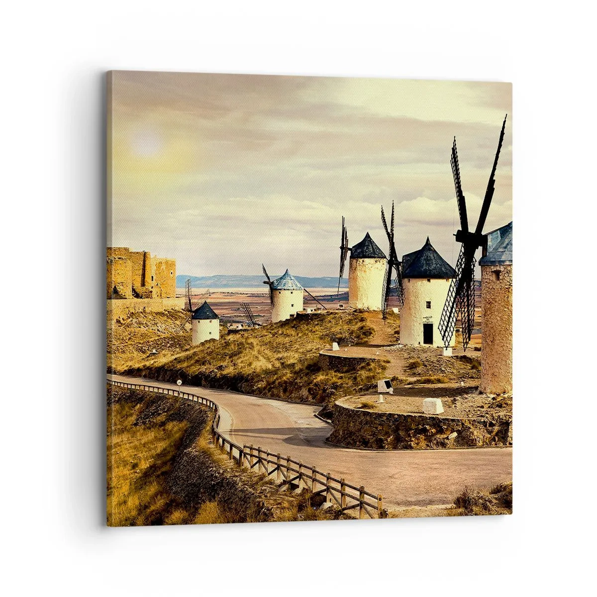 Quadro su tela - Stampe su Tela - Adesso appare Don Chisciotte - 70x70 cm