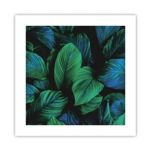 Poster - Nella folla verde - 40x40 cm