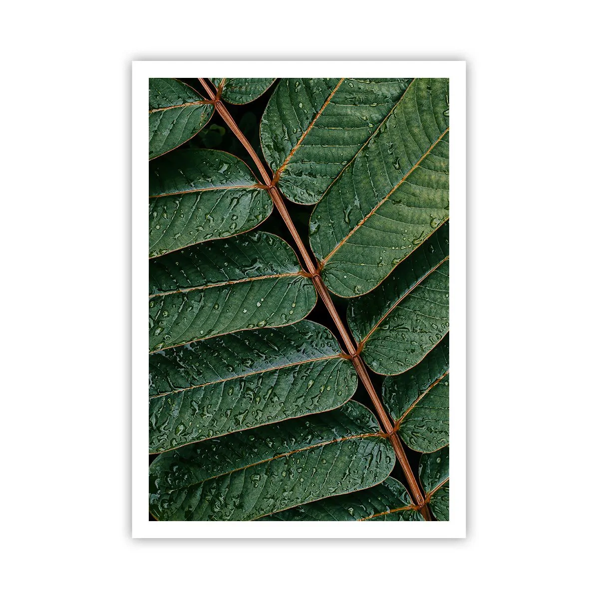 Poster - Al ritmo verde - 70x100 cm