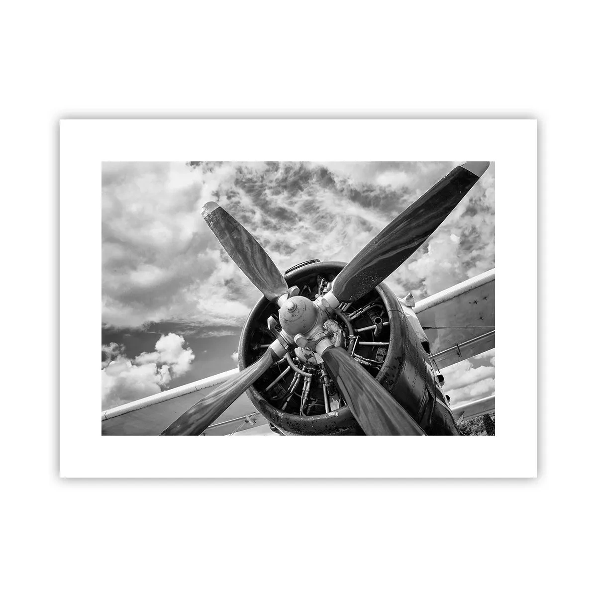 Poster - Il dominatore dell'aria - 40x30 cm