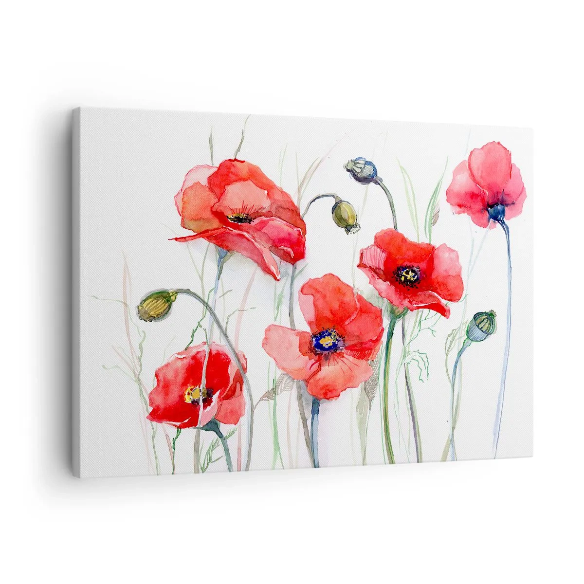 Quadro su tela - Stampe su Tela - Papaveri acquerellati su uno sfondo delicato - 70x50cm - Fiori polacchi - Decorazione murale moderna per soggiorno e camera da letto ARTTOR