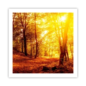 Poster - Verso la radura dorata - 60x60 cm