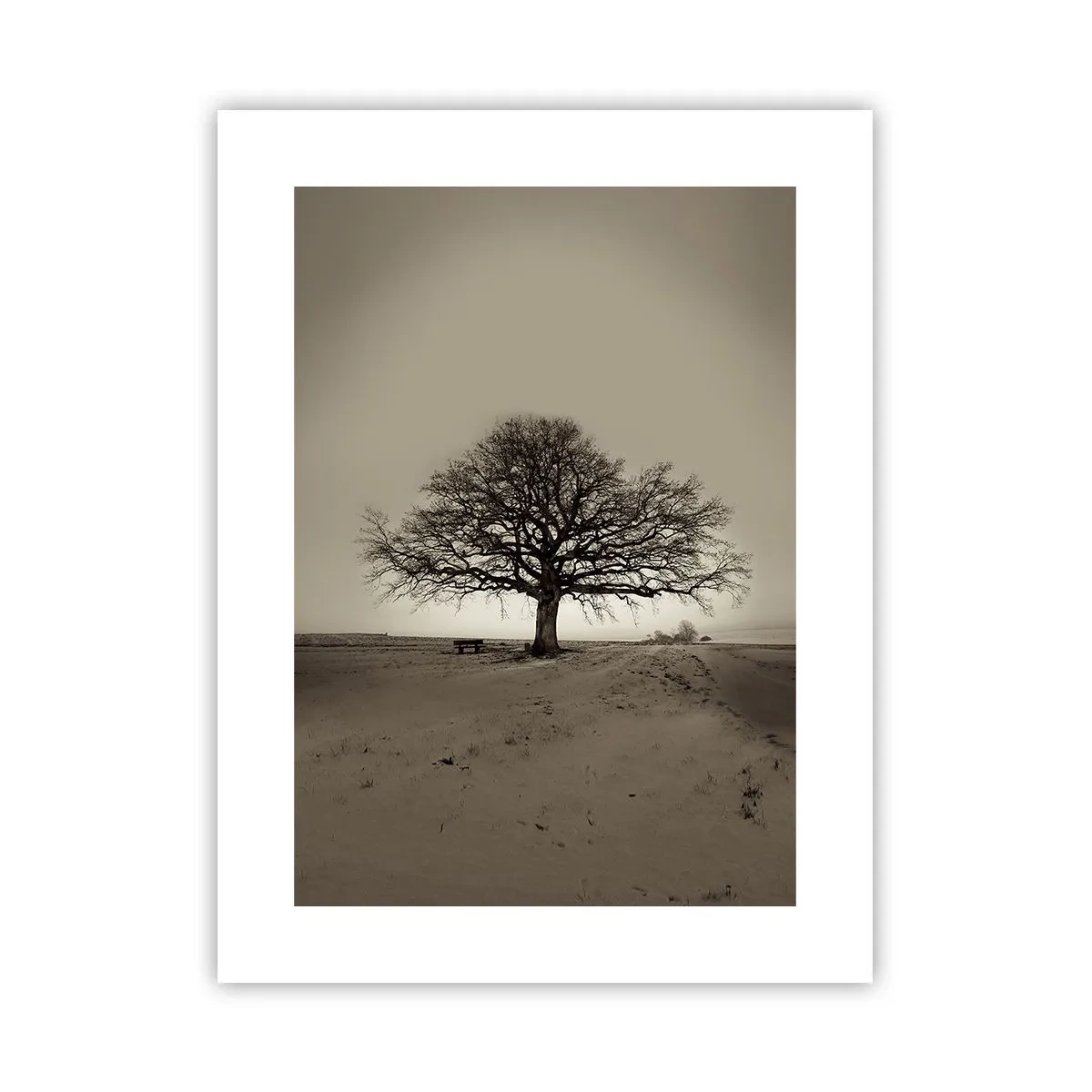 Poster - Da qui all'eternità - 30x40 cm