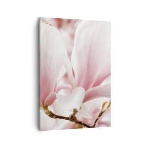 Quadro su tela - Stampe su Tela - Delicati fiori di magnolia in tonalità pastello - 50x70cm - Tenerezza senza fine - Decorazione murale moderna per soggiorno e camera da letto ARTTOR