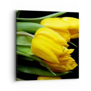 Quadro su tela - Stampe su Tela - Fatti di puro sole - 40x40 cm