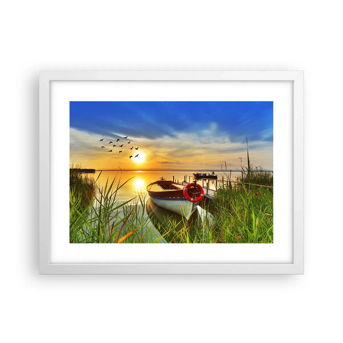 Poster in cornice bianca - I cormorano volano già via - 40x30 cm