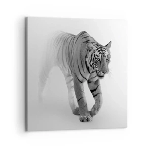 Quadro su tela - Stampe su Tela - Incantato nella nebbia - 50x50 cm