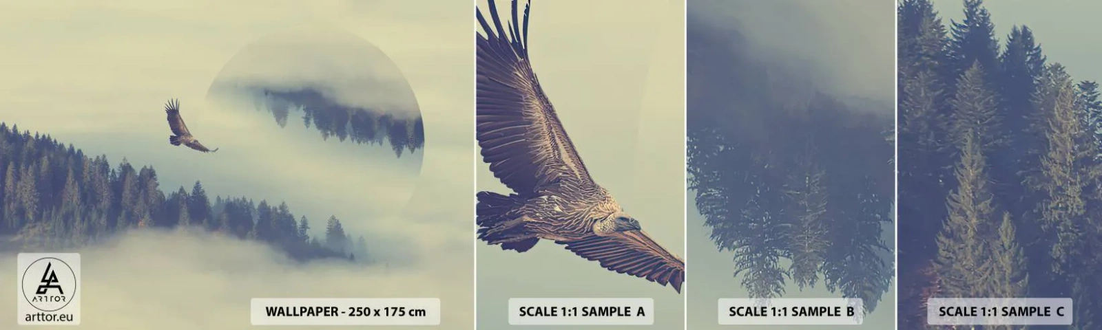 Campione di Fotomurale Adesivo Deluxe Sticker - Ho visto l'ombra dell'aquila - Aquila, Uccello, foresta - 100x30 cm