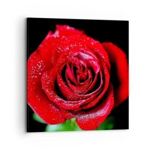 Quadro su tela - Stampe su Tela - Ecco l'amore - 70x70 cm