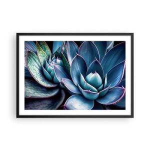 Poster in cornice nera - Agave nelle tonalità del blu e del verde con accenti rosa - 70x50cm - Forza vitale - Decorazione murale moderna per soggiorno e camera da letto ARTTOR