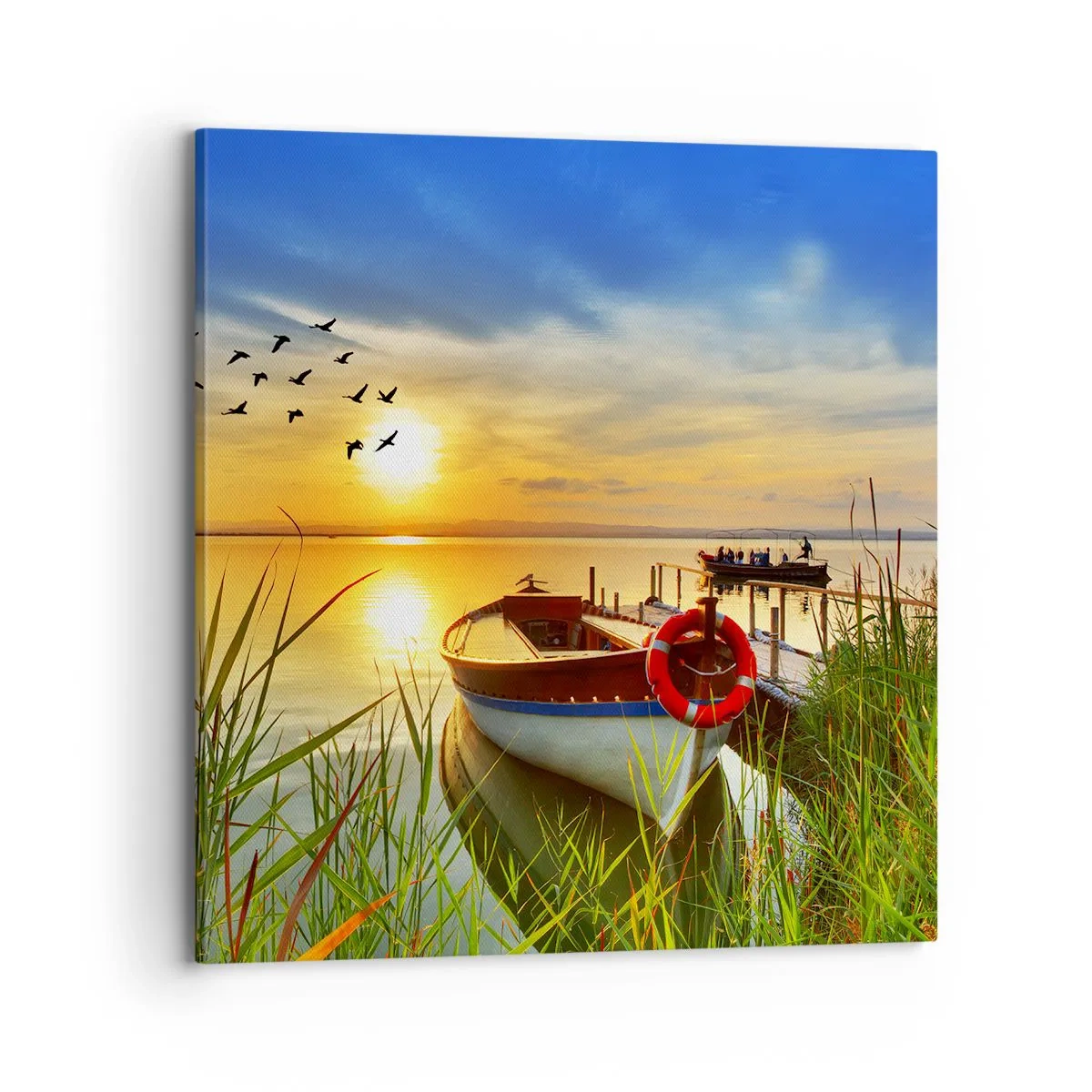 Quadro su tela - Stampe su Tela - I cormorano volano già via - 70x70 cm