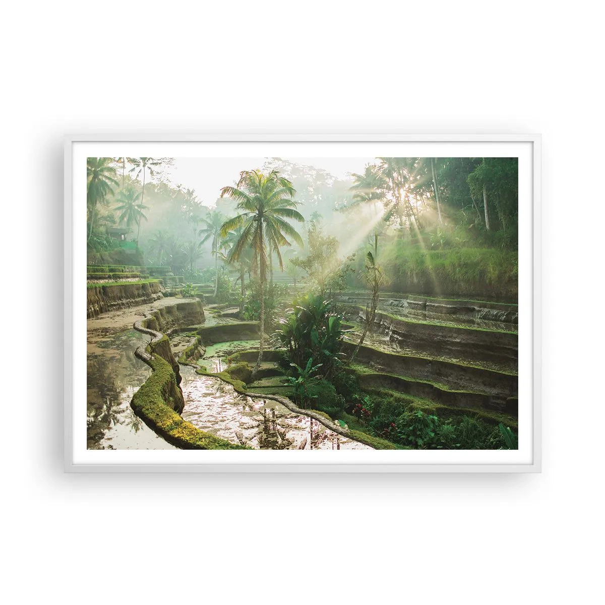 Poster in cornice bianca - Crescere al sole - 100x70 cm