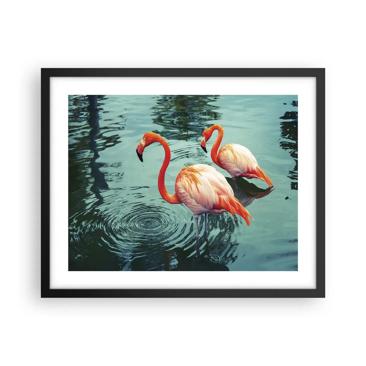 Poster in cornice nera - Adesso siamo di moda - 50x40 cm