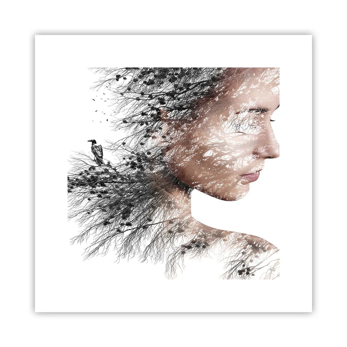 Poster - Lo spirito della foresta - 30x30 cm