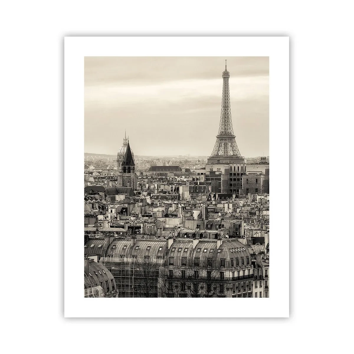 Poster - Sui tetti di Parigi - 40x50 cm