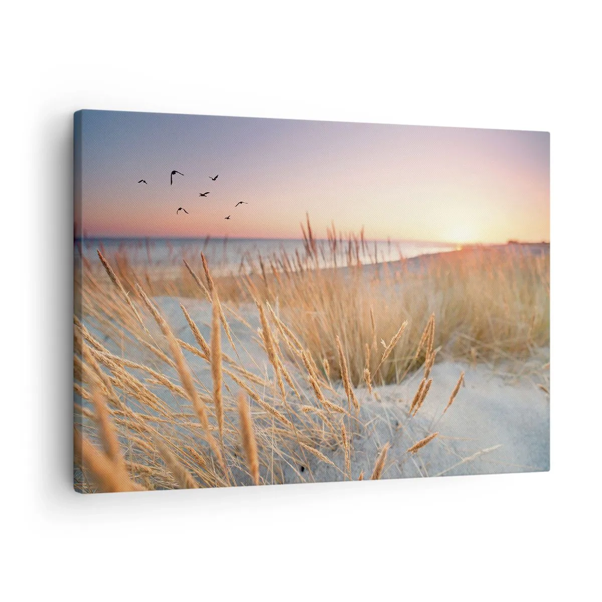 Quadro su tela - Stampe su Tela - Spiaggia al tramonto con erba alta - 70x50cm - Ninna nanna baltica - Decorazione murale moderna per soggiorno e camera da letto ARTTOR