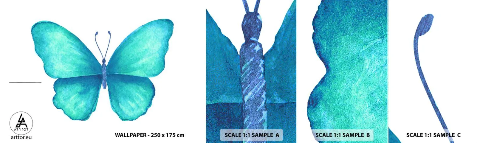 Campione Di Fotomurale Standard Eco - Turchese di natura - Farfalla, Per bambini, Grafica - 100x30 cm