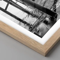 Rovere chiaro