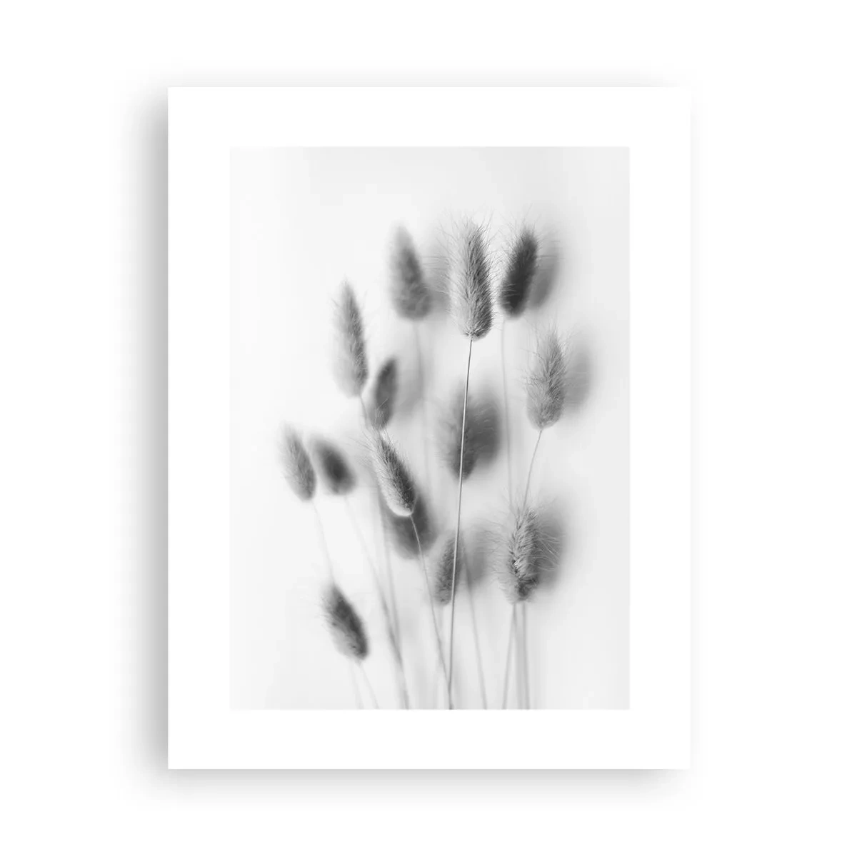 Poster - Erba soffice - 30x40 cm